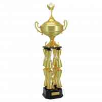Troféu de Torneios e Campeonatos - Dourado