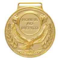 Medalha-Redonda-Premiacao-Honra-ao-Merito-Dourada-59000
